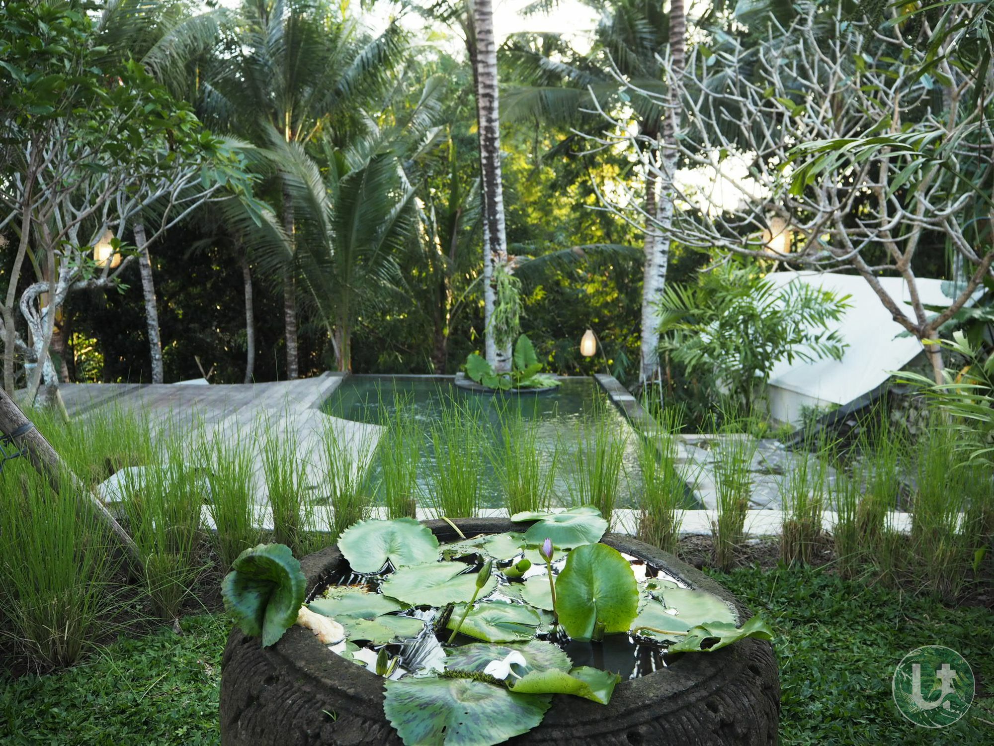 Ubud Tropical Buitenkant foto