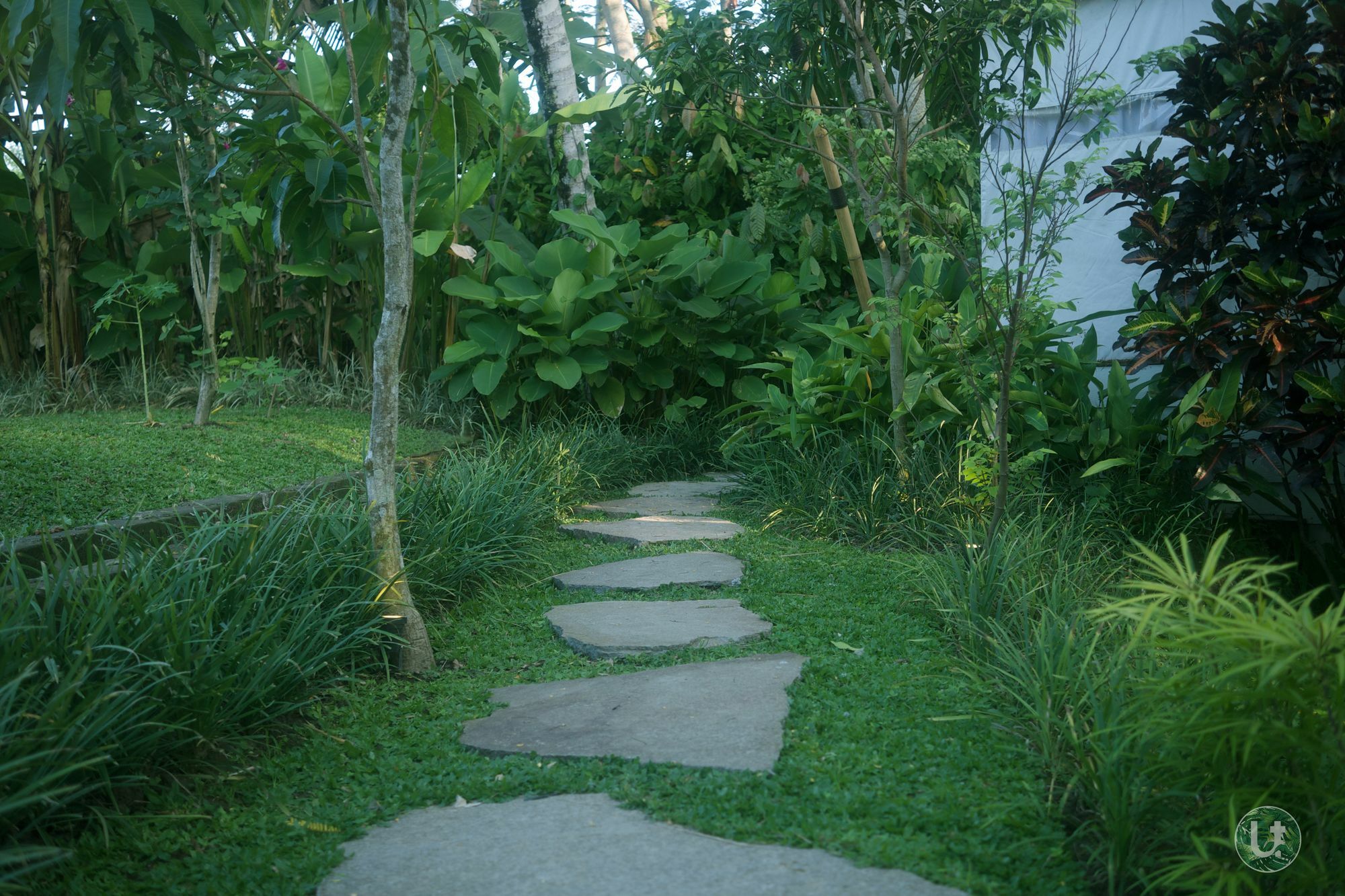 Ubud Tropical Buitenkant foto